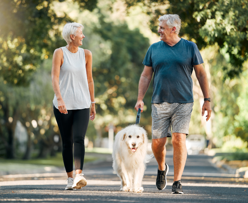 Two people walking a dog